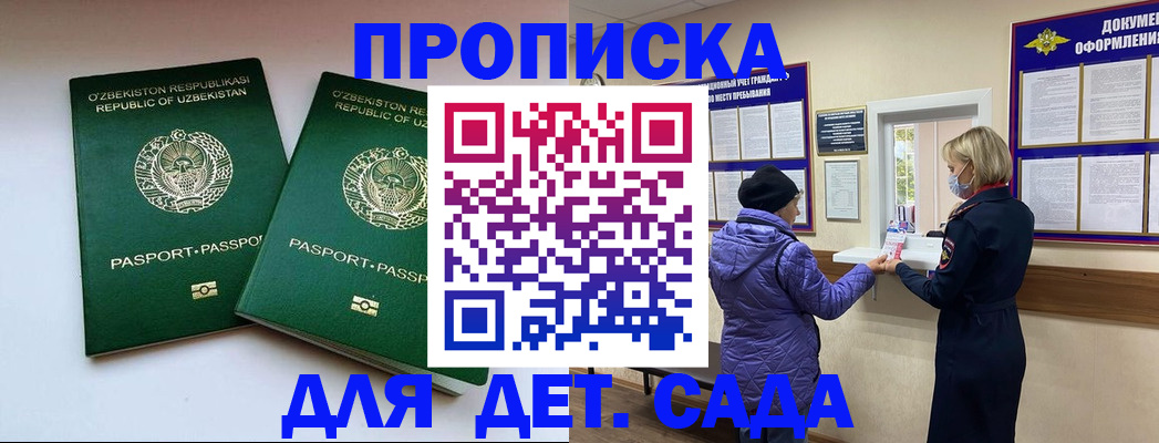 прописка для школы в Елизово